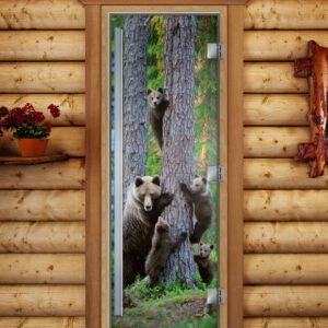 Дверь Престиж фотопечать А064